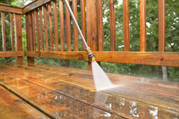 Animal Enclosure Cleaning in Madill, OK